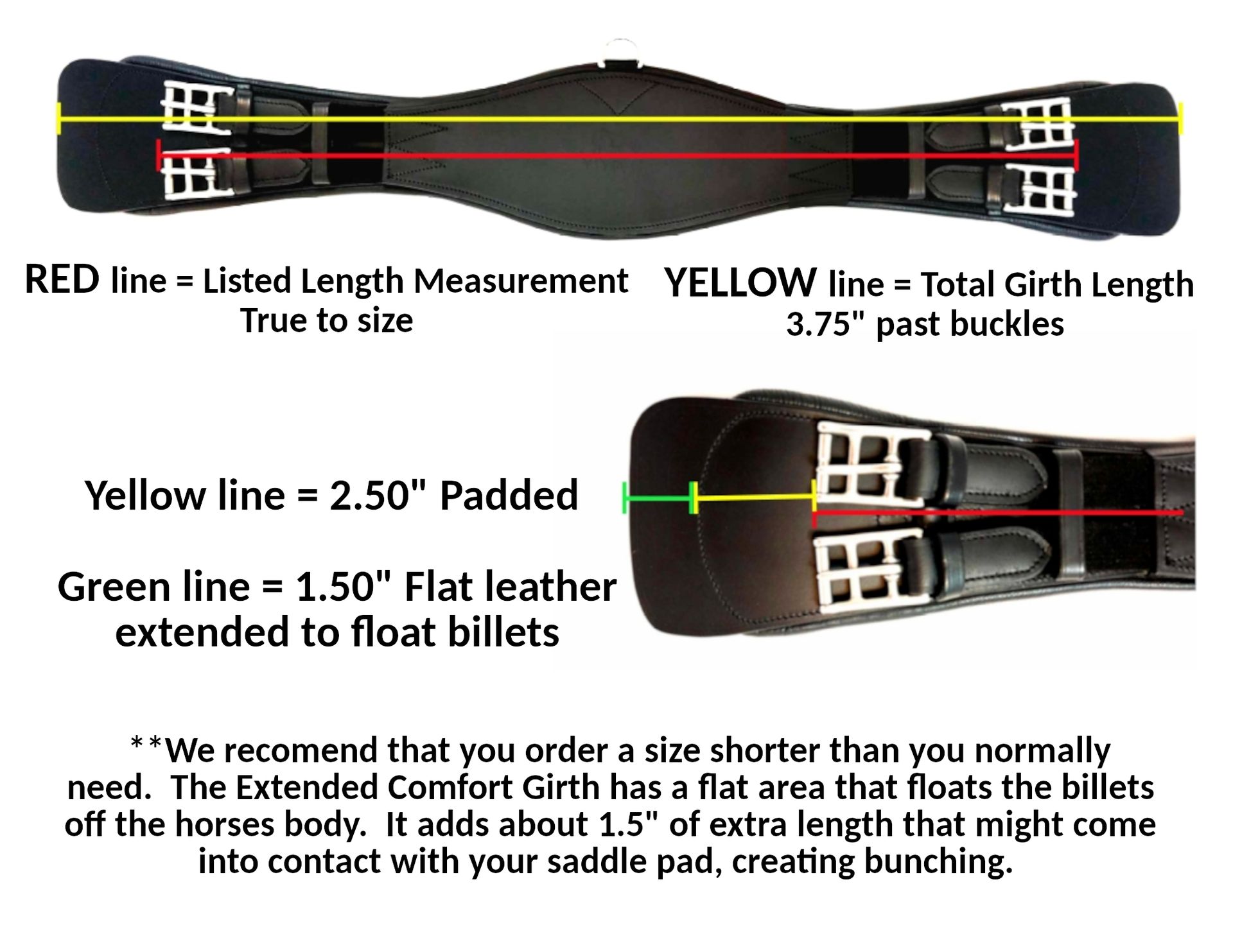 Size Chart | Vivace Equine