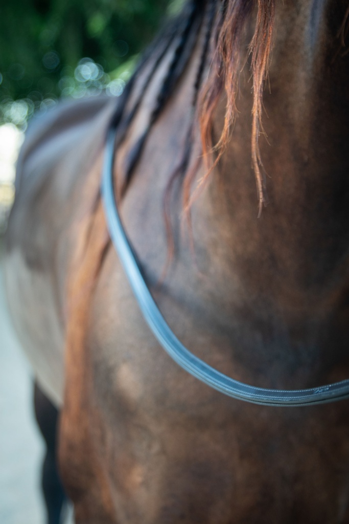 Slim Lux Full Padding (Cob 56")
