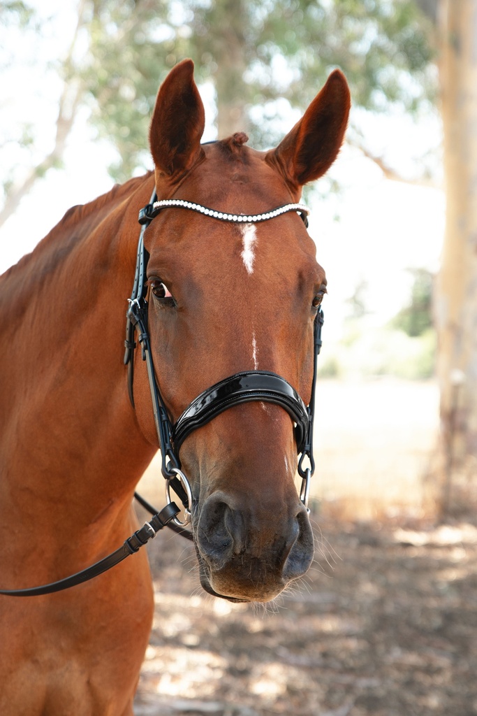 ESTELLA Snaffle Bridle (Cob, Add Flash)
