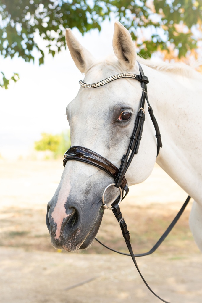 GABRIELLE Snaffle Bridle (Cob, Add Flash)