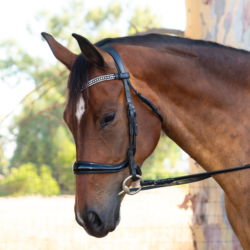 KAYLYNN Snaffle Bridle (Cob, Add Flash)