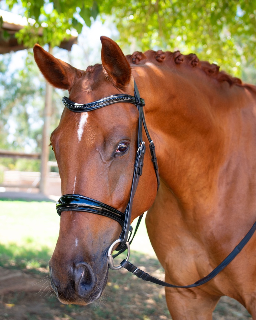 LINA Snaffle Bridle (Cob, Add Flash)