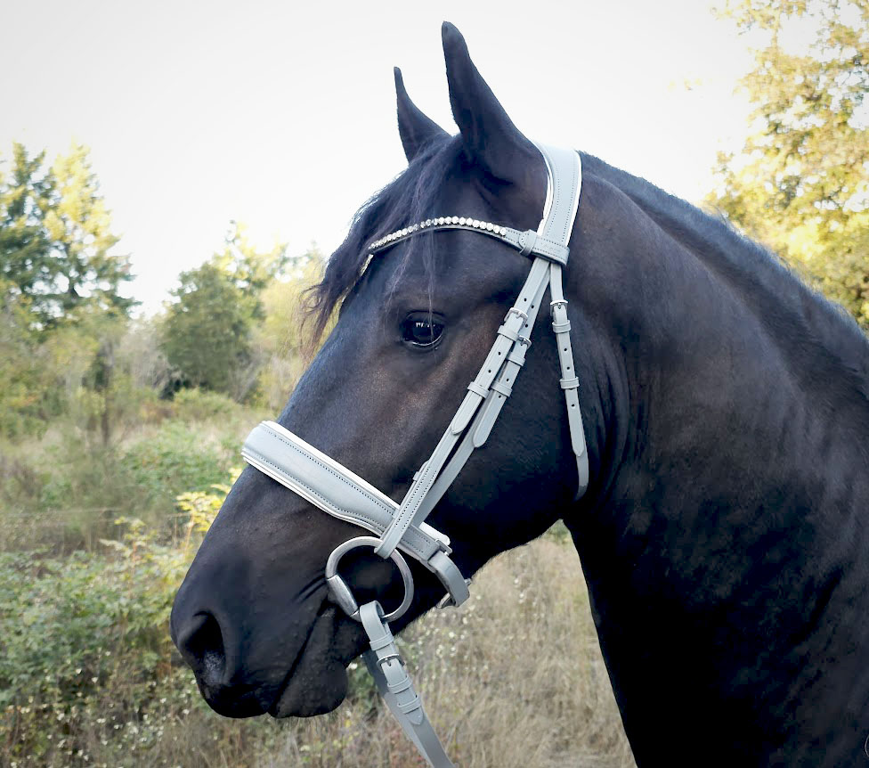 Luna - Limited Edition Snaffle Bridle (Cob, Add Flash)