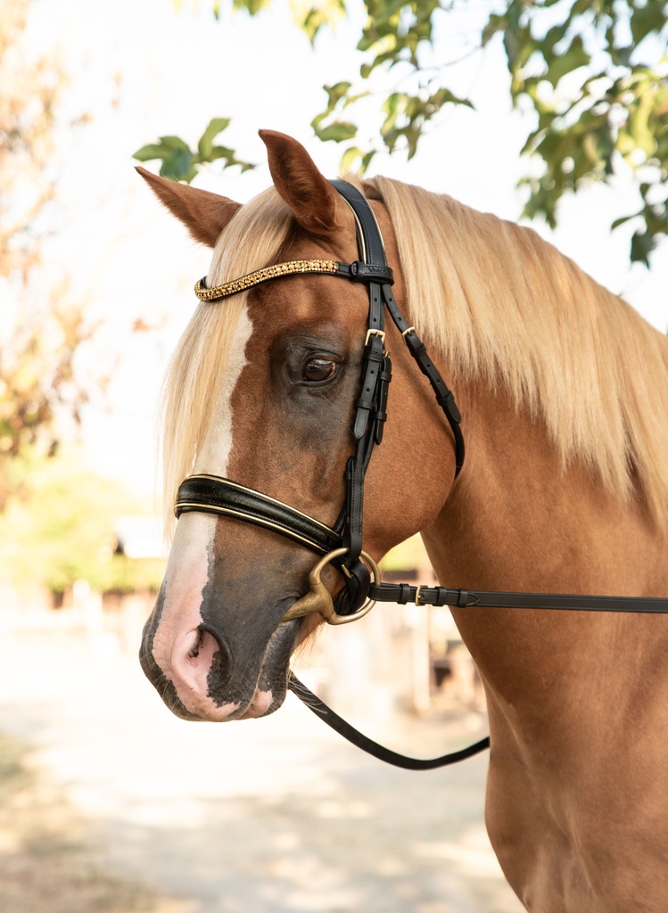 MALEA Snaffle Bridle (Cob, Add Flash)